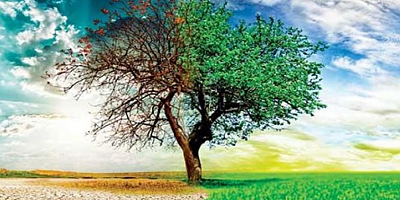 Çevre koruma harcamaları 224,6 milyar TL olarak gerçekleşti