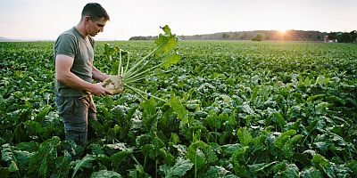Çevresel Sorunlarla ilgili endişe gıdada satın alma alışkanlıklarını etkiliyor