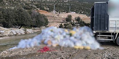 Çevreye Zarar Veren Atık Dökümüne Jandarmadan Anında Müdahale