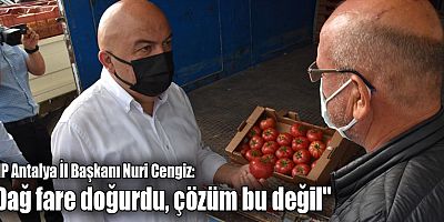 CHP Antalya İl Başkanı Nuri Cengiz: 