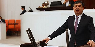 CHP Antalya Milletvekili Cavit Arı'dan yeni yıl mesajı