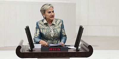 CHP'den Hayvanları Koruma Kanunu'na Alternatif Teklif: “Yaşam Hakkı İçin Direneceğiz”