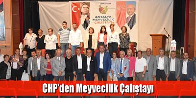 CHP'den Meyvecilik Çalıştayı