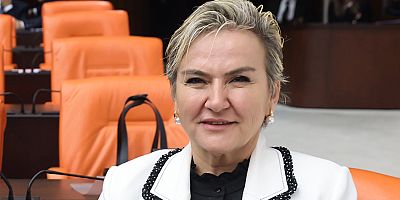 CHP İstanbul Milletvekili Nimet Özdemir’den İçişleri Bakanı’na Sultanbeyli’de Uyuşturucu ile Mücadeleye Dair Soru Önergesi