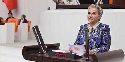 CHP İstanbul Milletvekili Nimet Özdemir'den KKTC ve Türk Dünyası İlişkilerine Dair Dikkat Çeken Soru Önergesi