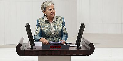 CHP İstanbul Milletvekili Nimet Özdemir, Emeklilerin Artan Sağlık Yükünü Meclis Gündemine Taşıdı