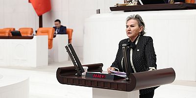 CHP İstanbul Mv. Nimet Özdemir’den Genç İstihdamı İçin TBMM’ye Soru Önergesi