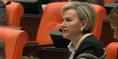 CHP İstanbul Mv. Nimet Özdemir Hayvanların Korunmasına Dair Uygulama Yönetmeliği ile ilgili sert eleştirilerde bulundu