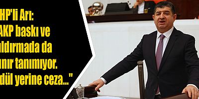 CHP'li Arı: 