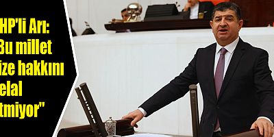 CHP'li Arı: 