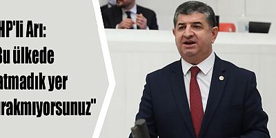 CHP'li Arı: 