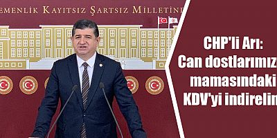 CHP'li Arı: Can dostlarımızın mamasındaki KDV'yi indirelim
