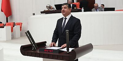 CHP'li Arı: Ceza garantili köprüler