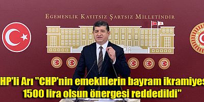 CHP'li Arı 