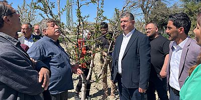 CHP'li Arı: Çiftçimiz devletten acil destek beklemektedir