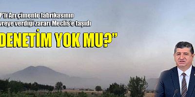CHP'li Arı çimento fabrikasının çevreye verdiği zararı Meclis'e taşıdı