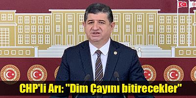 CHP'li Arı: 