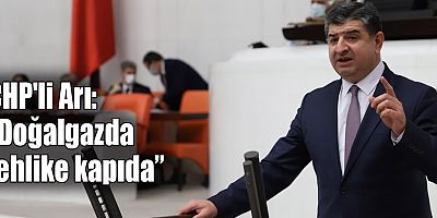 CHP'li Arı: 