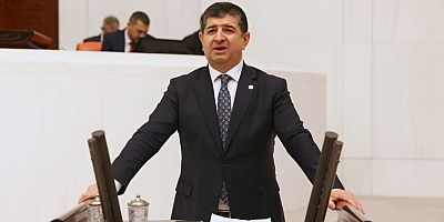 CHP'li Arı: Ek bütçenin çoğu garantilere gidecek