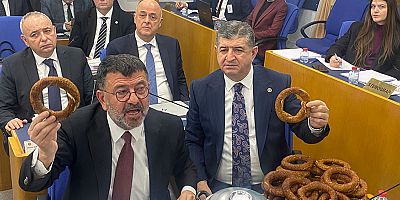 CHP'li Arı: Emeklinin hakkını savunmak asli görevimizdir
