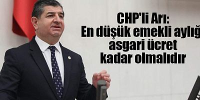 CHP'li Arı: En düşük emekli aylığı asgari ücret kadar olmalıdır
