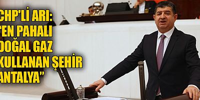 CHP'li Arı: 