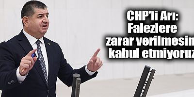 CHP'li Arı: Falezlere zarar verilmesini kabul etmiyoruz