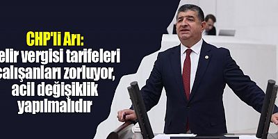 CHP'li Arı: Gelir vergisi tarifeleri çalışanları zorluyor, acil değişiklik yapılmalıdır