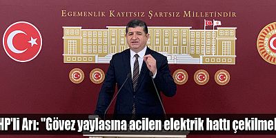 CHP'li Arı: 