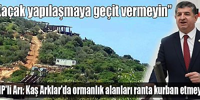 CHP'li Arı: 