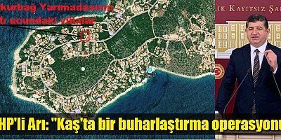 CHP'li Arı: 