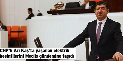 CHP'li Arı Kaş'ta yaşanan elektrik kesintilerini Meclis gündemine taşıdı