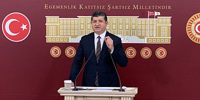 CHP'li Arı: 