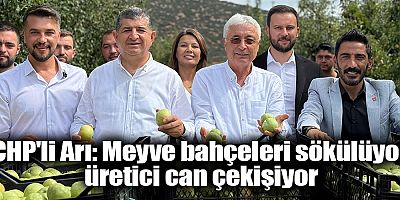 CHP'li Arı: Meyve bahçeleri sökülüyor, üretici can çekişiyor