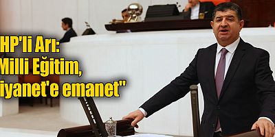 CHP'li Arı: 