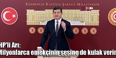 CHP'li Arı: 