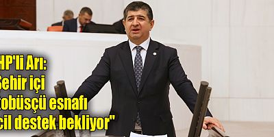 CHP'li Arı: 