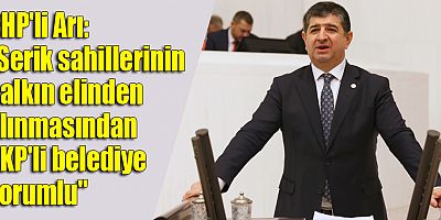 CHP'li Arı: 