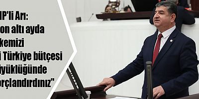 CHP'li Arı: 