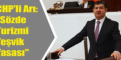 CHP'li Arı: 