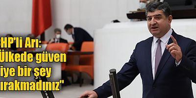 CHP'li Arı: 