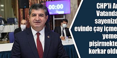 CHP'li Arı: Vatandaş sayenizde evinde çay içmek, yemek pişirmekten korkar oldu
