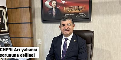 CHP'li Arı yabancı sorununa değindi