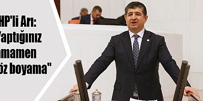 CHP'li Arı: 