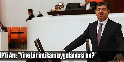 CHP'li Arı: 