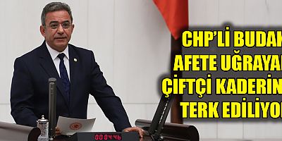 CHP'li Budak: Afete uğrayan çiftçi kaderine terk ediliyor