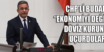 CHP'li Budak başkanlık sisteminin ekonomi karnesini açıkladı