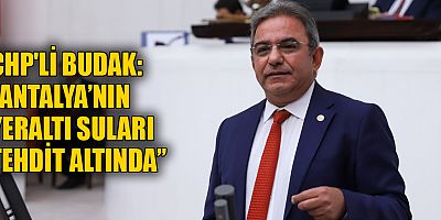 CHP'li Budak Düden çayındaki balık ölümlerini TBMM gündemine taşıdı