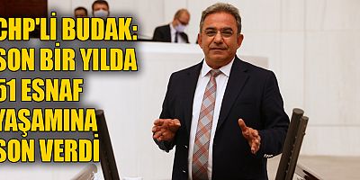 CHP'li Budak: Geçim sıkıntısı esnafı bunalıma sürükledi