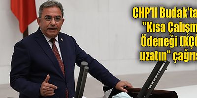 CHP'li Budak: 
